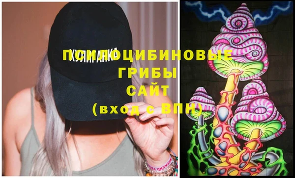 трава Белокуриха