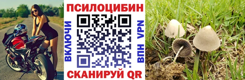 Псилоцибиновые грибы MAGIC MUSHROOMS kraken зеркало Высоковск